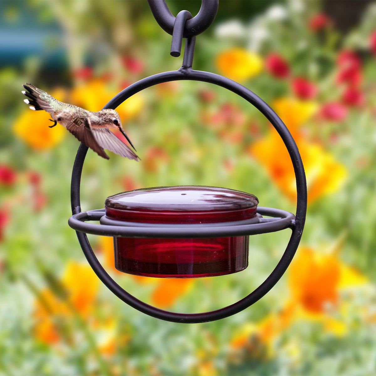 Exterior Decor | Bird Feeders, Bird Baths, Garden Hook | Monarch Abode